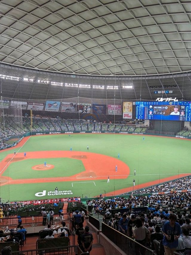 ベルーナドームで野球観戦を！
