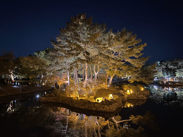 🌕 경주 동궁과 월지, 신라의 밤을 거닐다