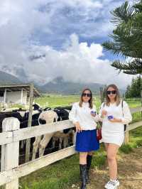 Chillin’ Above the Clouds – Kundasang Vibes!"