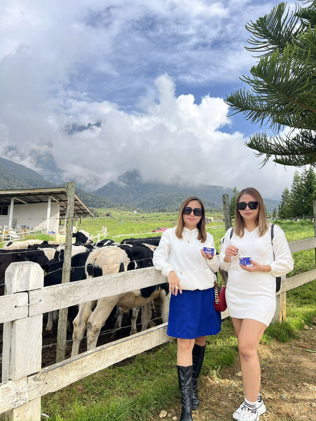 Chillin’ Above the Clouds – Kundasang Vibes!"