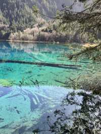 Aba Prefecture 4 Days Itinerary