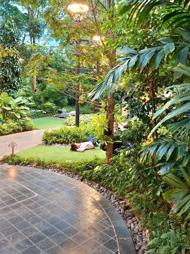 DISCOVER THIS GREEN GEM IN HAMAD INTERNATIONAL AIRPORT