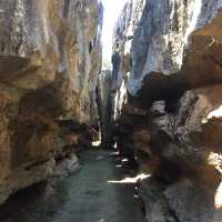走進另一個世界｜Tsingy De Bemaraha National Park