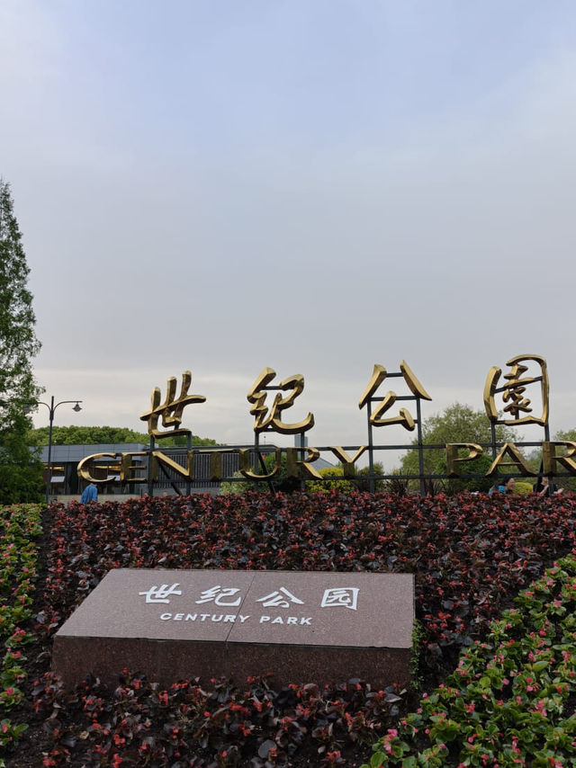 很舒適，很寫意的一個公園