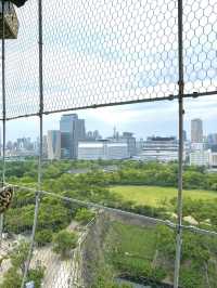 【大阪】日本の歴史と深い関わりを持つ大阪城