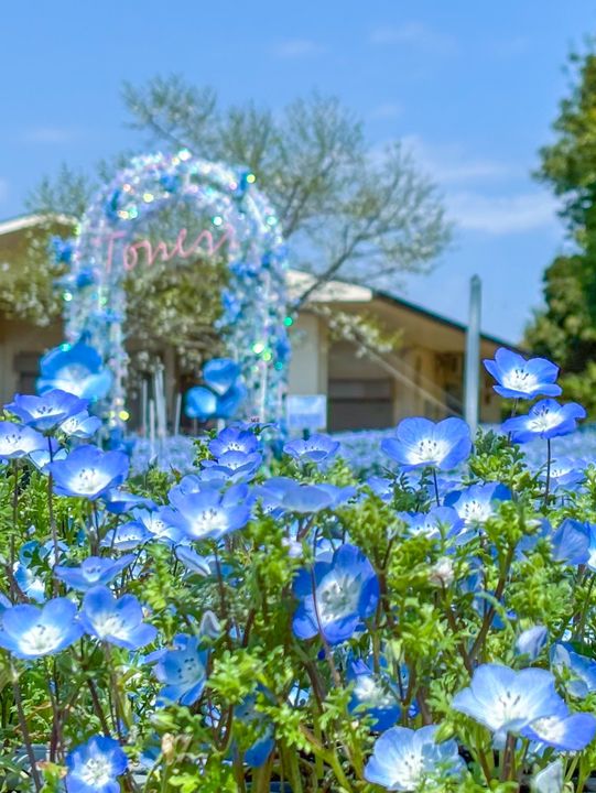 【東京・舎人公園】春の絶景お花見スポット