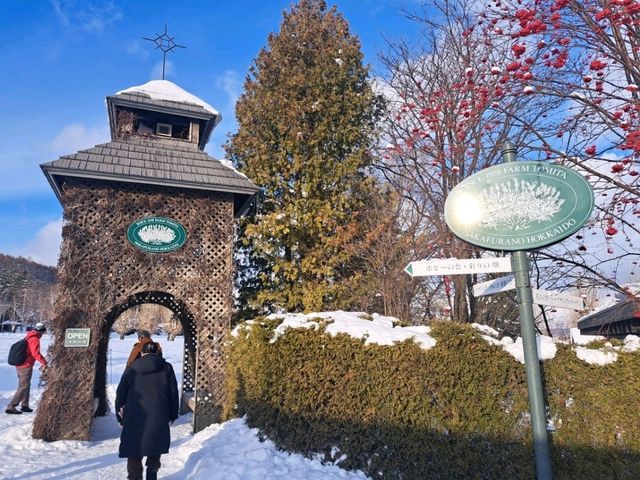 北海道旅遊🥳參觀富田農場😍免費任玩迷你雪兜場🤣刺激好玩🥰欣賞大自然雪景❄️