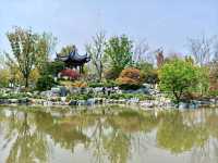 Hàoyuán Garden (滈园) – A Hidden Spring Gem in Shanghai 🌸⛩️🌿