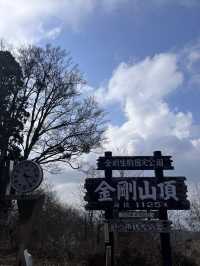 【大阪／金剛山】初心者おすすめの登山