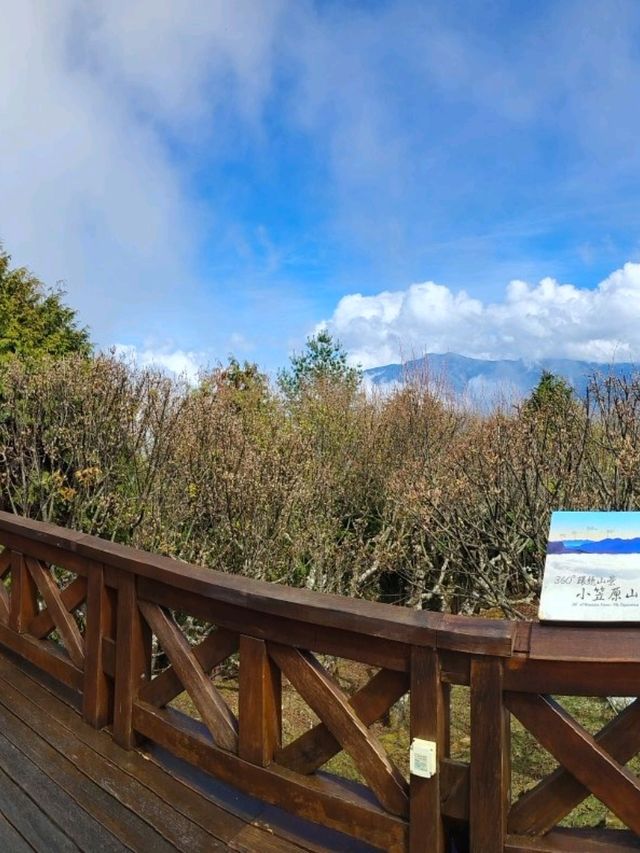 จุดชมวิว Zhushan Station Mt.Okasawara Alishan
