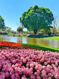 進入了童話世界般的絶世公園