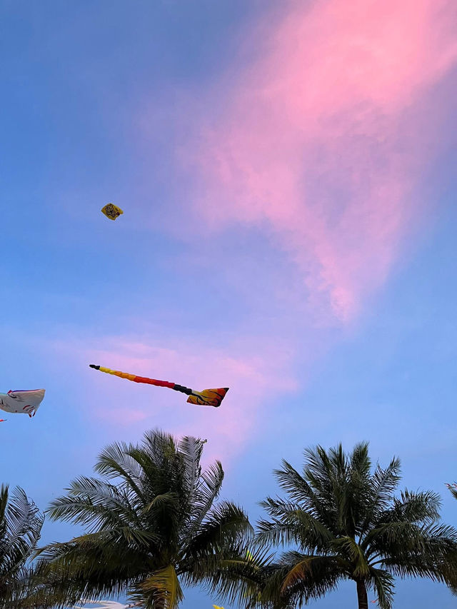 Kite park in Quy Nhon city