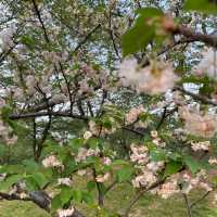 Gucun Park – Shanghai