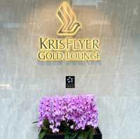 シンガポール　シンガポール観光　チャンギ空港T3 KrisFlyer Gold Loungeで過ごす！