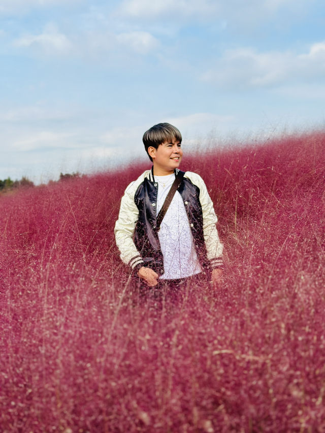 Picturesque Agricultural Theme Park