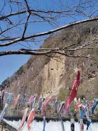【材木岩公園】国の天然記念物「材木岩」の造形美