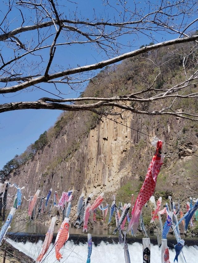 【材木岩公園】国の天然記念物「材木岩」の造形美