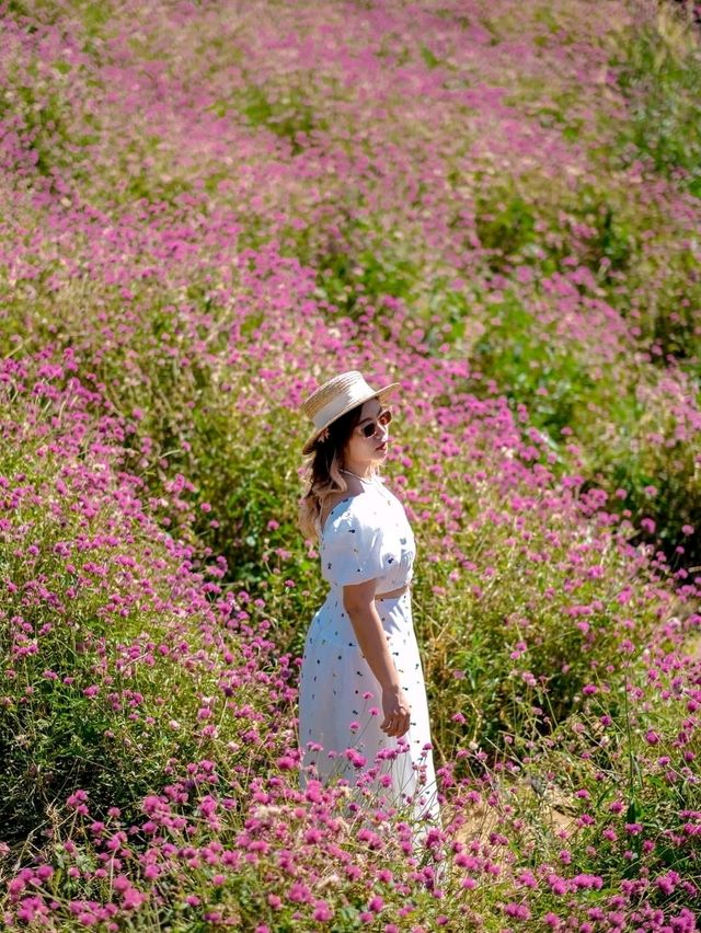 Hokkaido Flower park Khaoyai