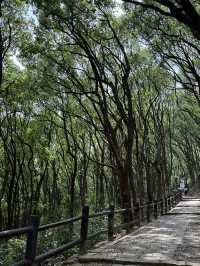Hidden Suzhou places!