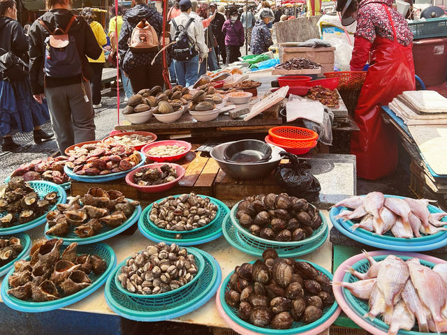 釜山🇰🇷扎嘎其市場🦞海港美食體驗