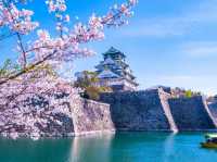 Osaka Castle Park Cherry Blossoms: A Fairytale in Pink