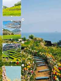 Nature's Staircase: A Journey Through Darangyi's Rice Terraces 