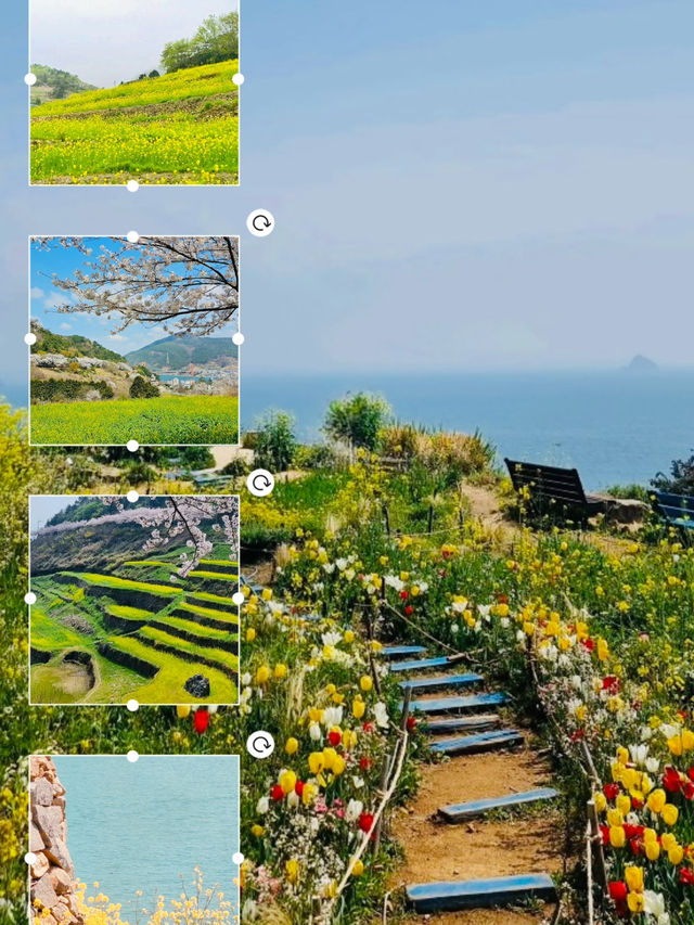 Nature's Staircase: A Journey Through Darangyi's Rice Terraces 