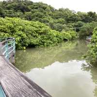 宜蘭一日遊｜忍者村・龍潭湖·來來釣蝦場＋泡腳體驗