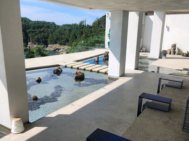네르하21