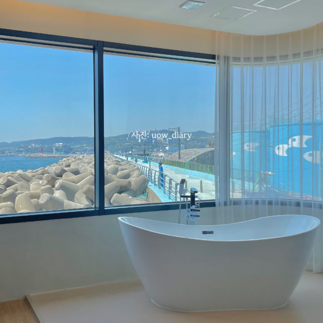 동해바다를 느끼러 포항으로 떠나보세요!