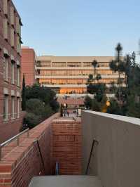 🏫 USC 캠퍼스, LA의 학문과 전통의 상징! 