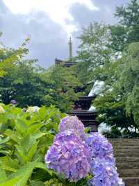 【千葉】紫陽花と五重塔を収められる人気撮影スポット