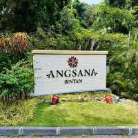 A Peaceful Paradise at Banyan Tree Bintan