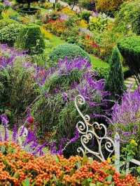 Discovering the Springtime Splendor of Oedo Botania