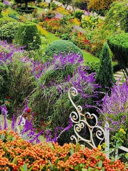 Discovering the Springtime Splendor of Oedo Botania