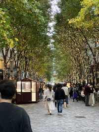 🌿 Marunouchi Street Park – 도심 속 여유, 도쿄에서 가장 세련된 쉼표