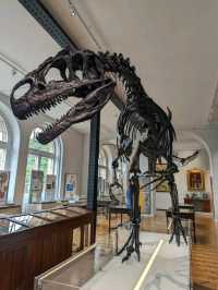 Lapworth Museum of Geology