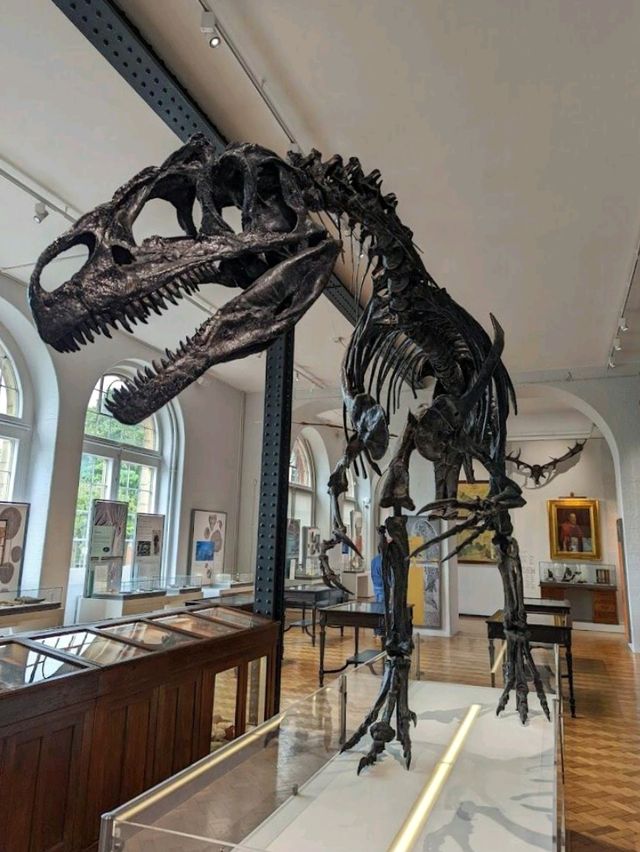 Lapworth Museum of Geology