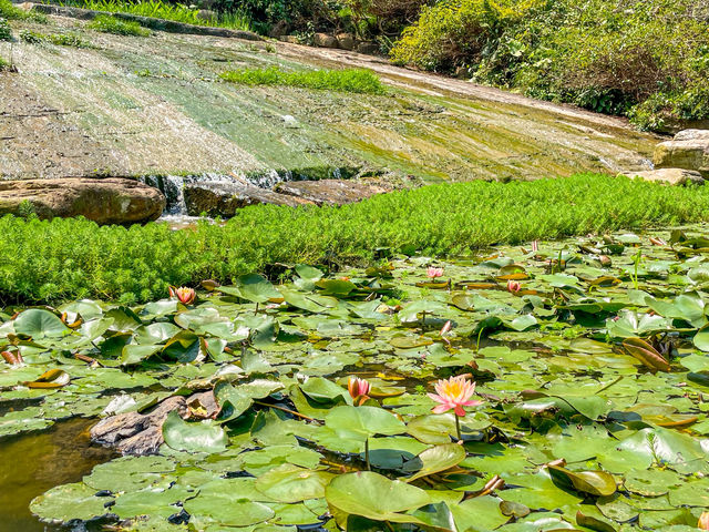 청수산 난원..