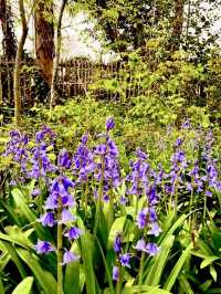 A weekend at Sarehole Mill with kids