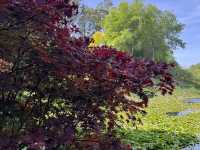 Adelaide Hills Botanic Garden: A Nature Lover’s Hidden Paradise