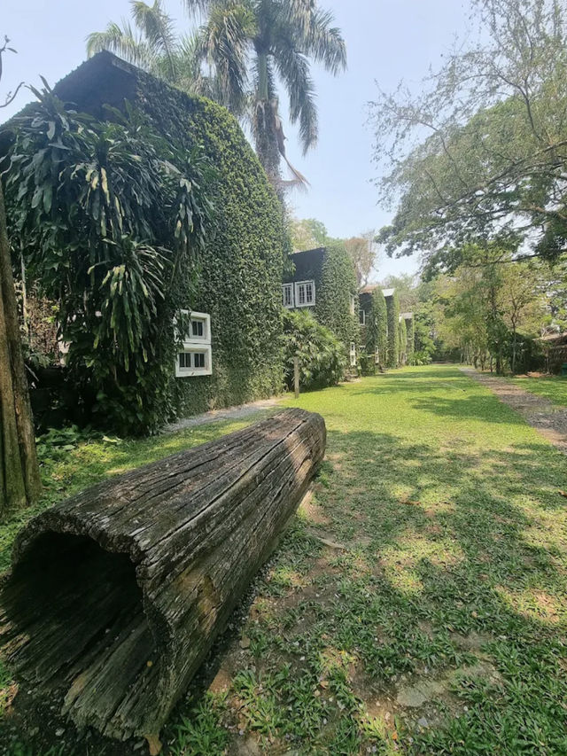 🌿🏡 เก๊าไม้ล้านนา เชียงใหม่ 🏡🌿