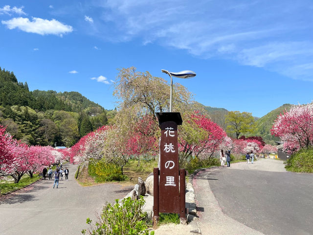 【長野県・花桃の里】まさに桃源郷