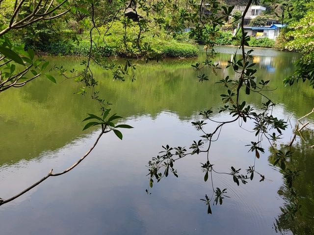 酒店处于鼎湖山及高铁站附近,楼下太方便了,吃的喝的按摩的,都是当地居民消费,性价比超值！最赞的是酒店有高铁站接送或鼎湖山景区接送,酒店很新、干净舒服,前台的服务也很好,还可以让我下午2点退房！