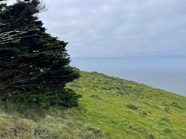 Point Reyes National Seashore – CA