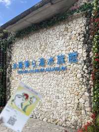 沖繩你不能不去的美麗海水族館🪼