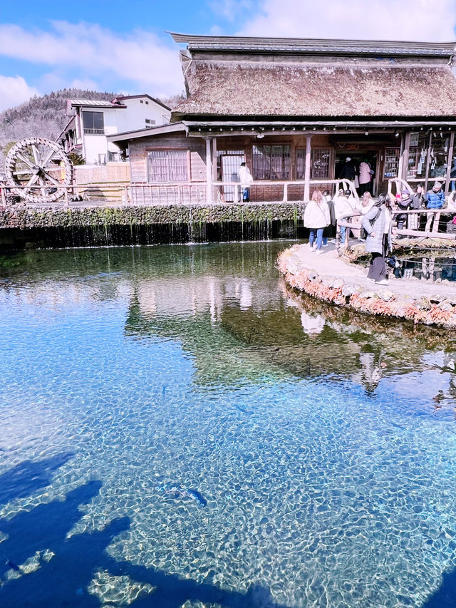 ［東京旅行］忍野八海-富士山旁的人間仙境☁️