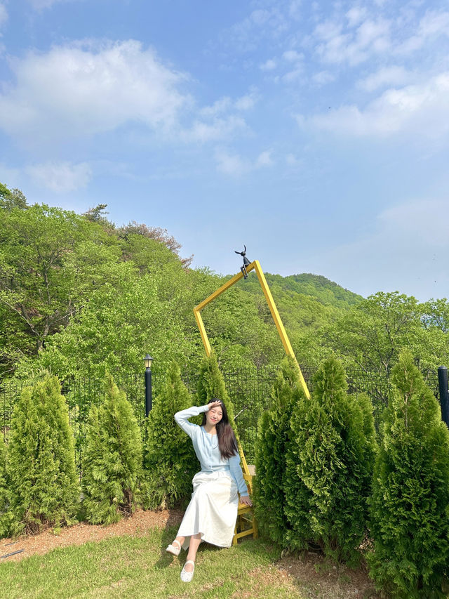 가족끼리 보내는 숲을 품은 고요한 자연에서의 하루 🕊️✨🌿