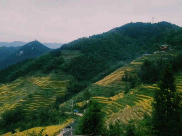 中國湖南婁底新化著名景點：紫鹊界梯田，適合打卡拍照📸
