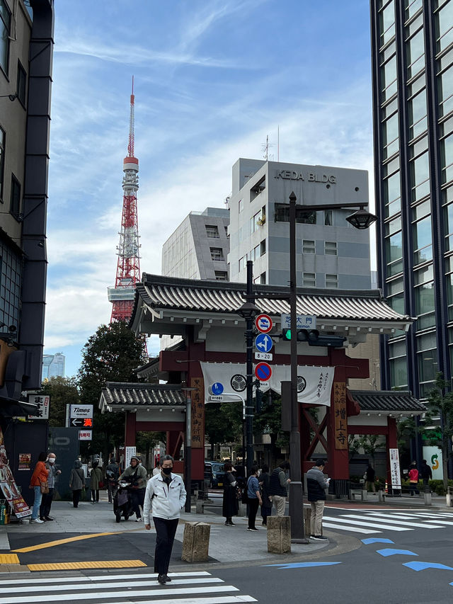 A Gourmet Weekend by Tokyo Tower🗼